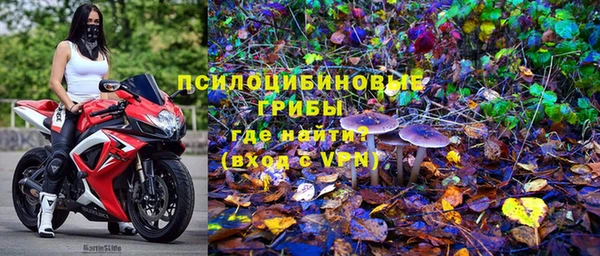 Альфа ПВП Алексин