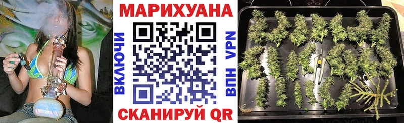 Шишки марихуана марихуана  Котовск 